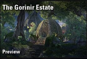 the gorinir state